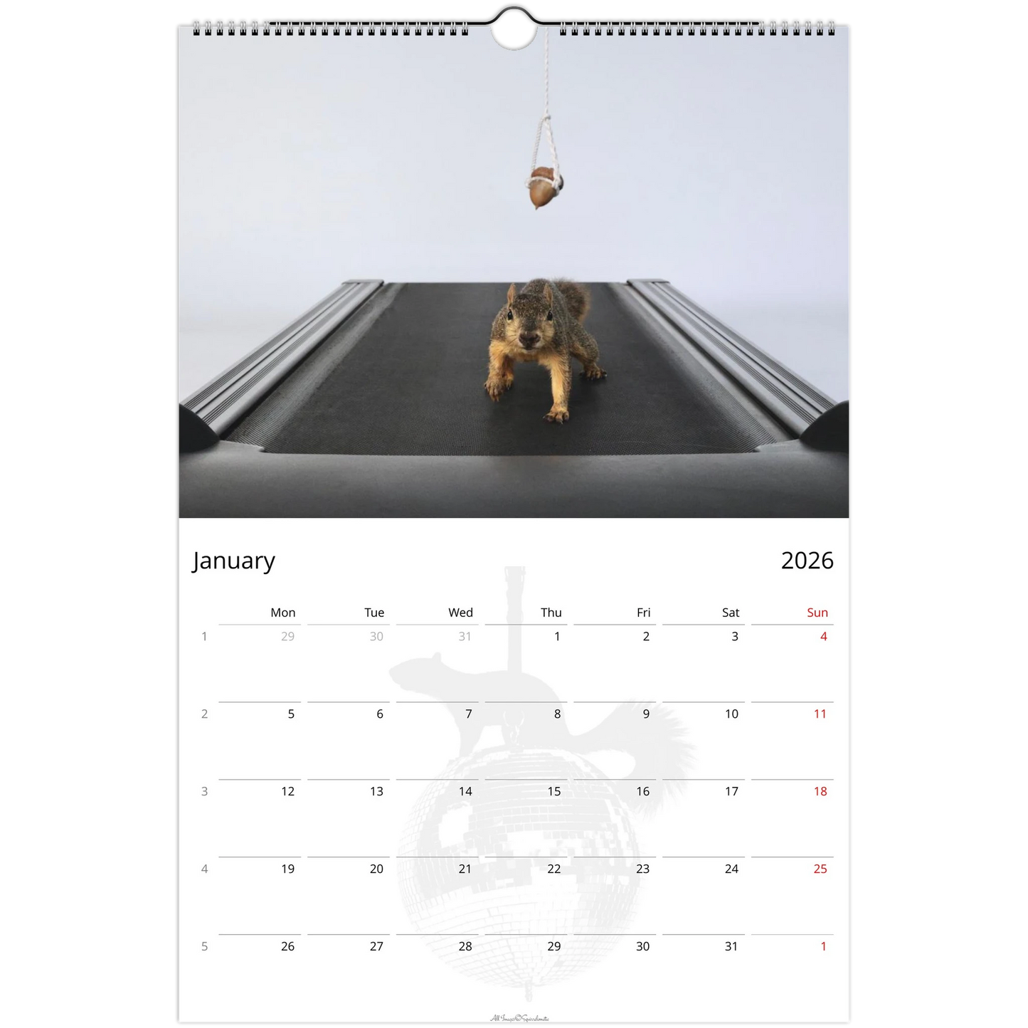 1ff5a47d-53f6-48bd-b17d-ca900ceb01e6