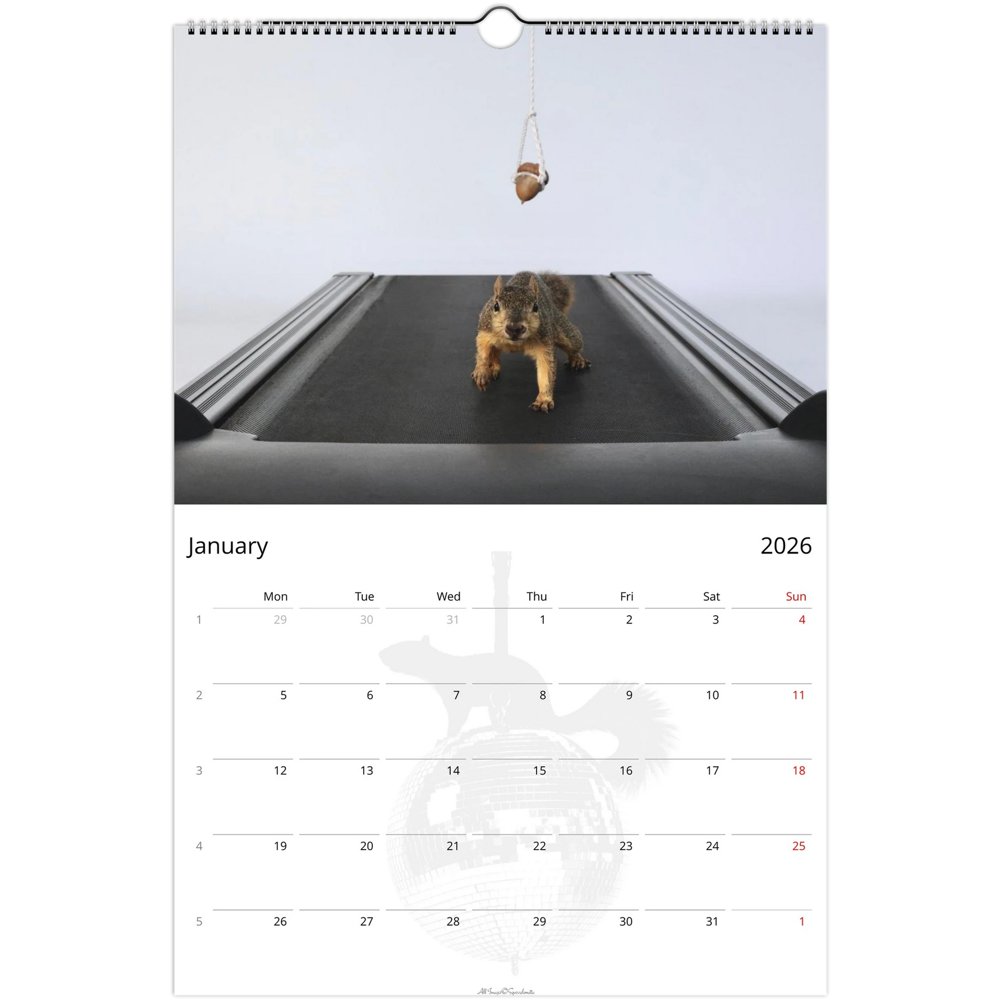 1ff5a47d-53f6-48bd-b17d-ca900ceb01e6