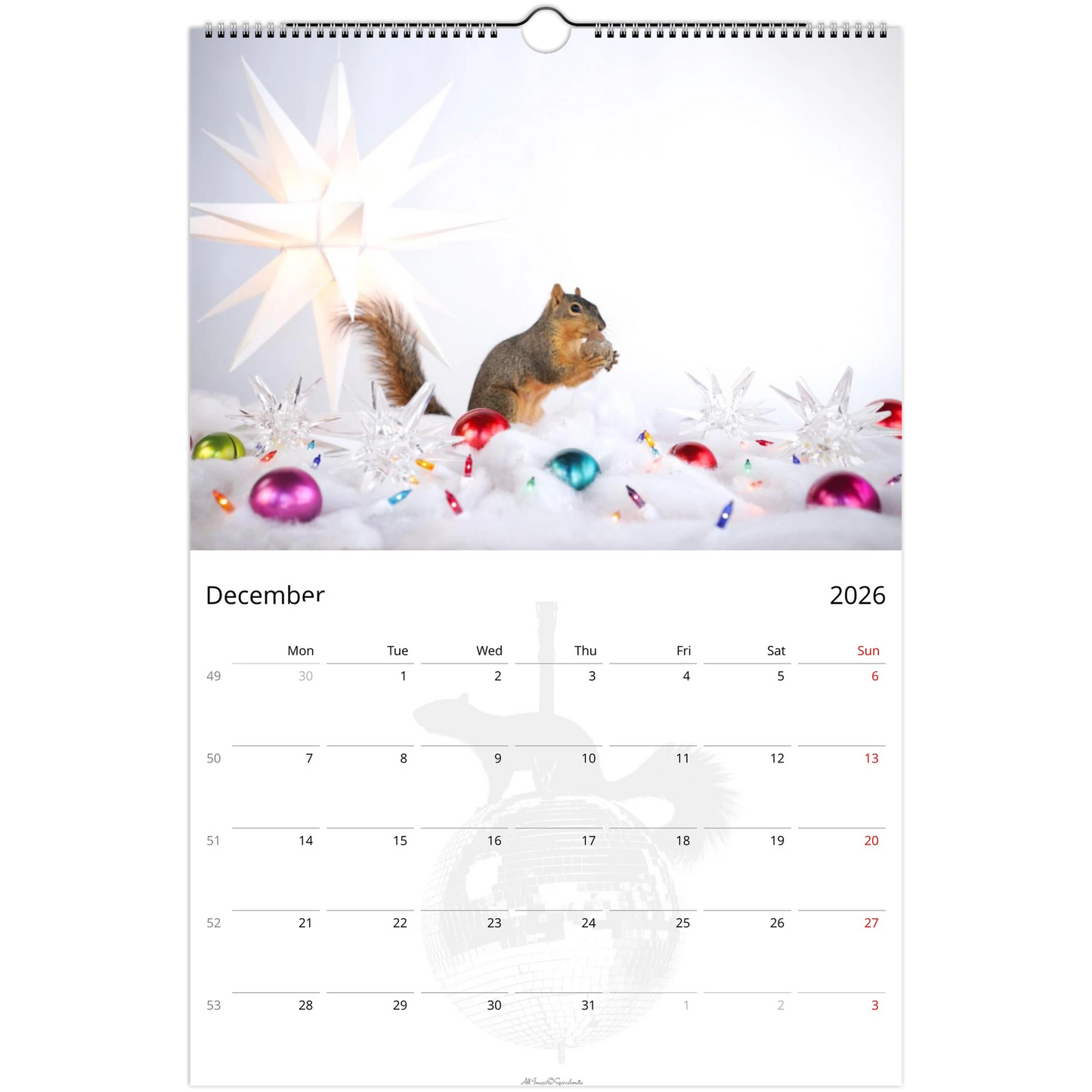 575c0f57-2f95-4247-af4b-c42d7a7749fc