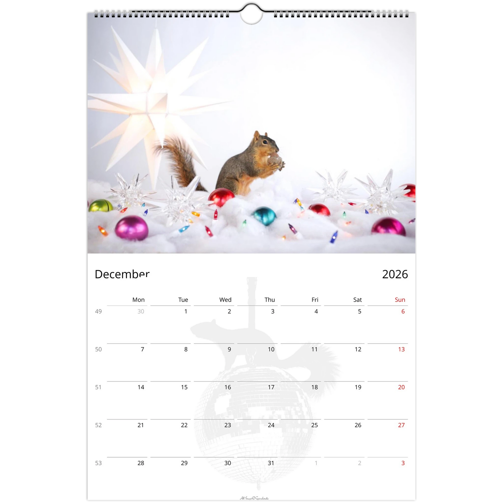 575c0f57-2f95-4247-af4b-c42d7a7749fc