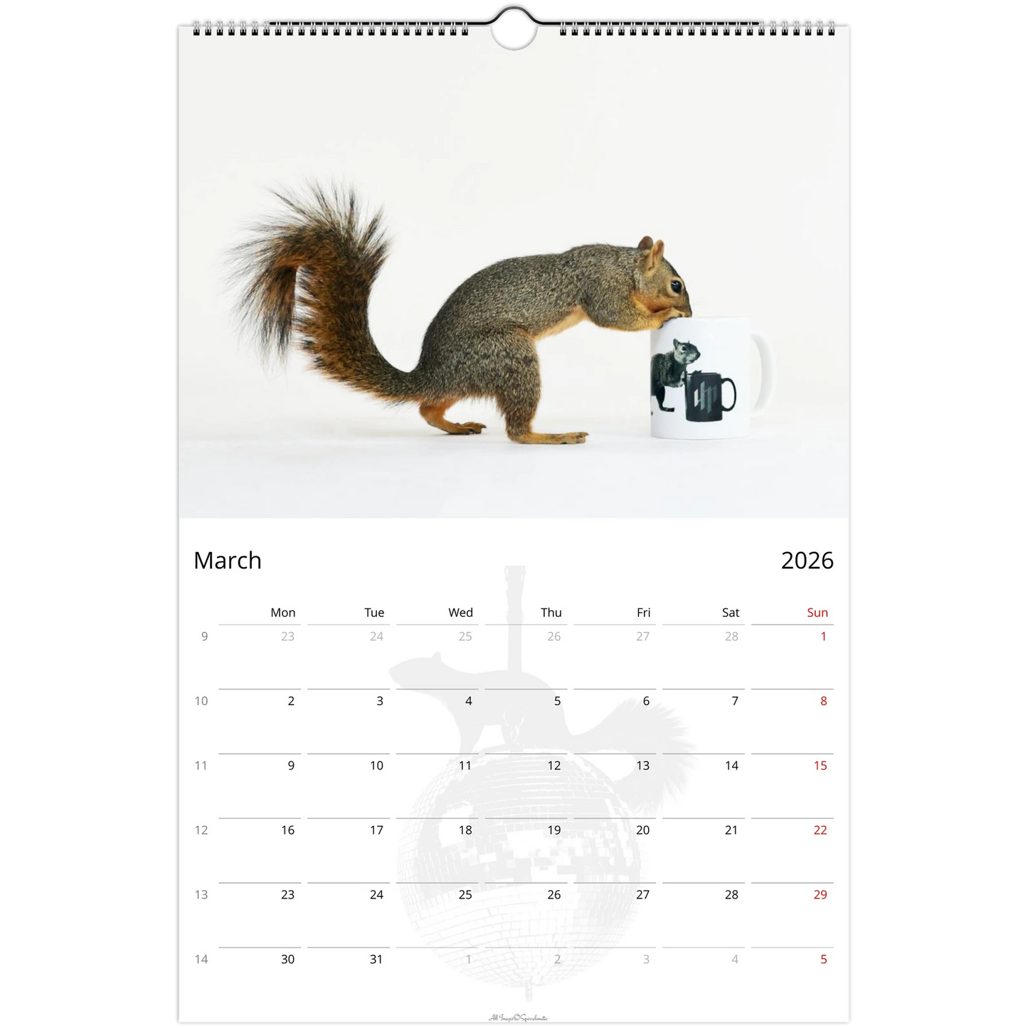 97b7da22-adab-4dbb-9128-acac07b9fa42