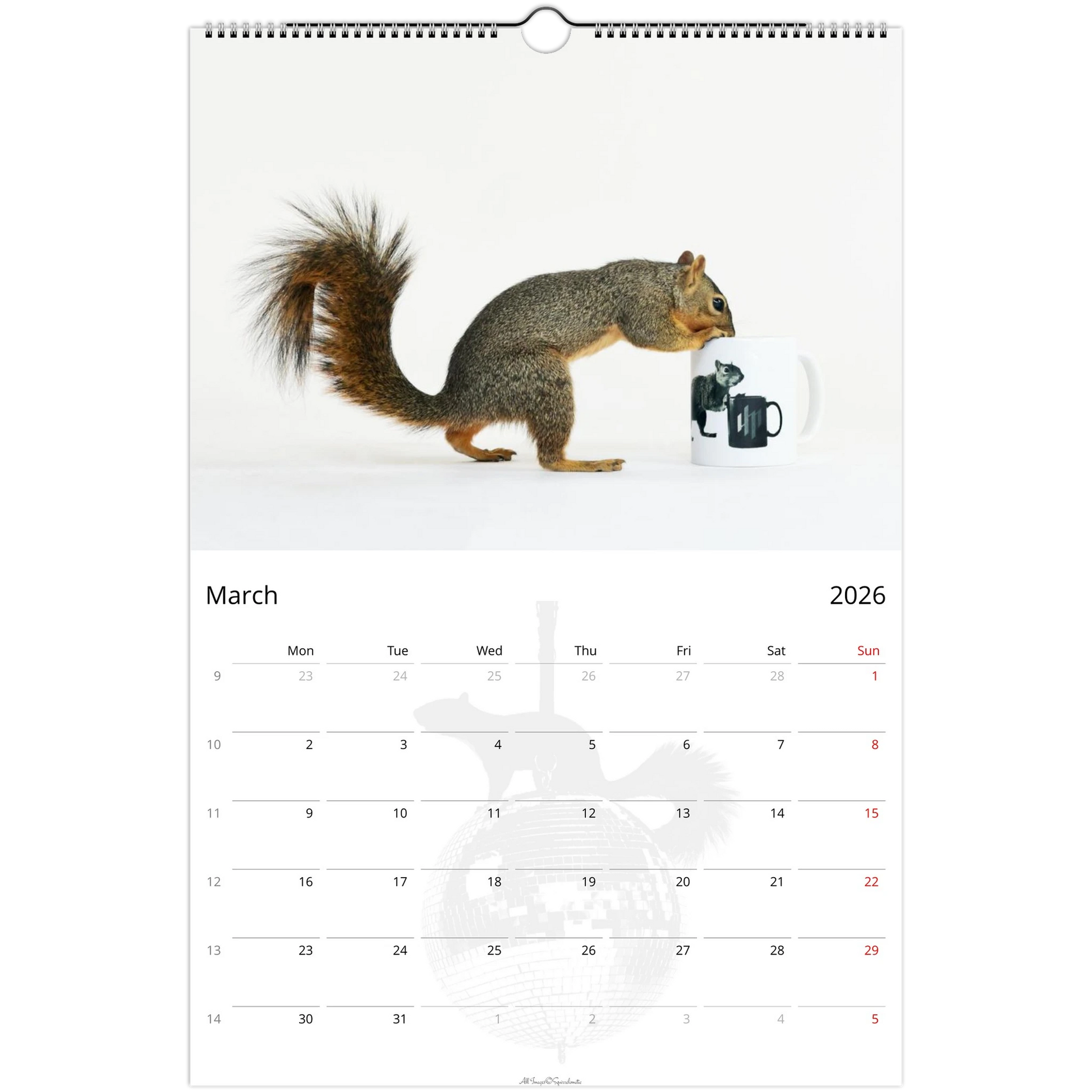 97b7da22-adab-4dbb-9128-acac07b9fa42