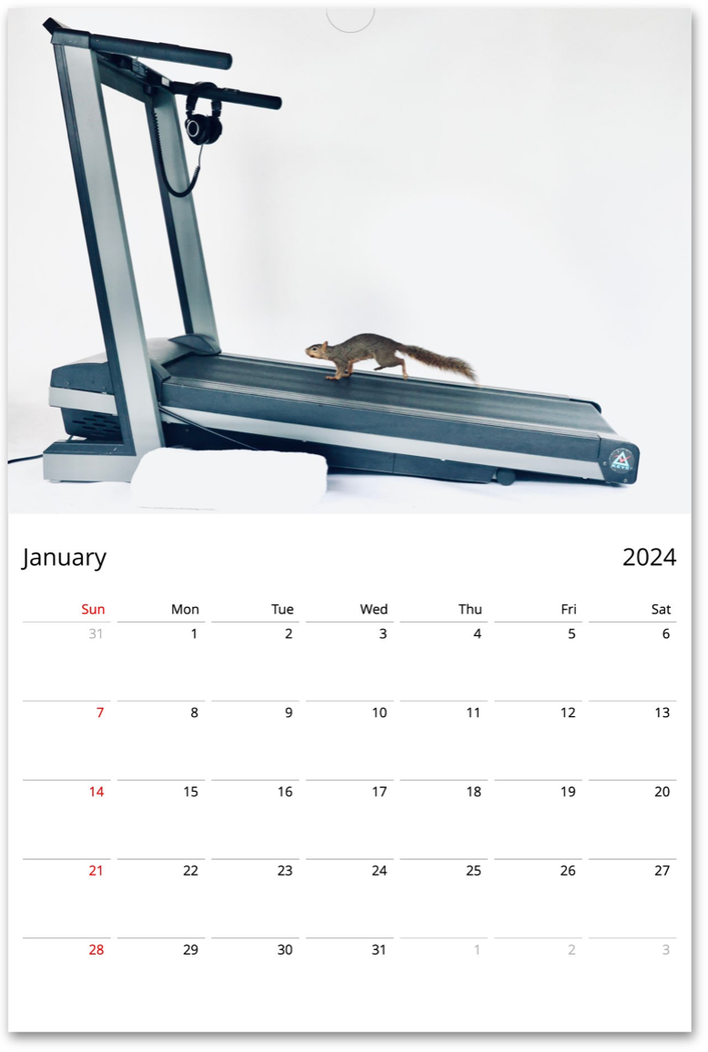 Squirrelomatic 2024 Calendar (English)