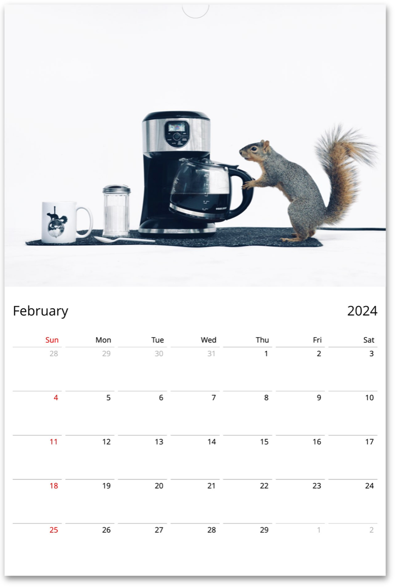 Squirrelomatic 2024 Calendar (English)