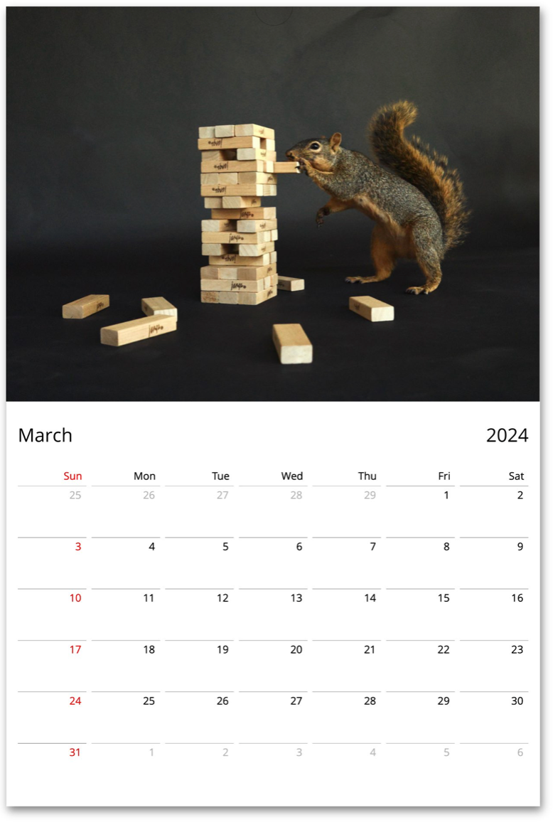 Squirrelomatic 2024 Calendar (English)