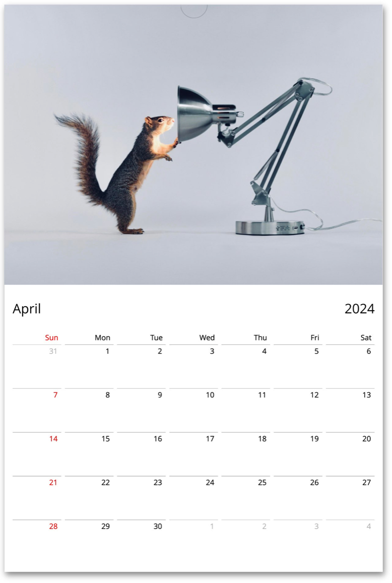 Squirrelomatic 2024 Calendar (English) squirrelomatic-2024-calendar-english