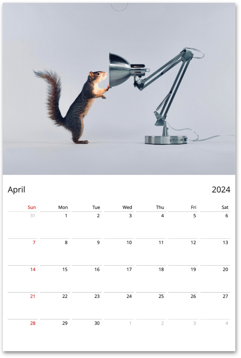 Squirrelomatic 2024 Calendar (English)