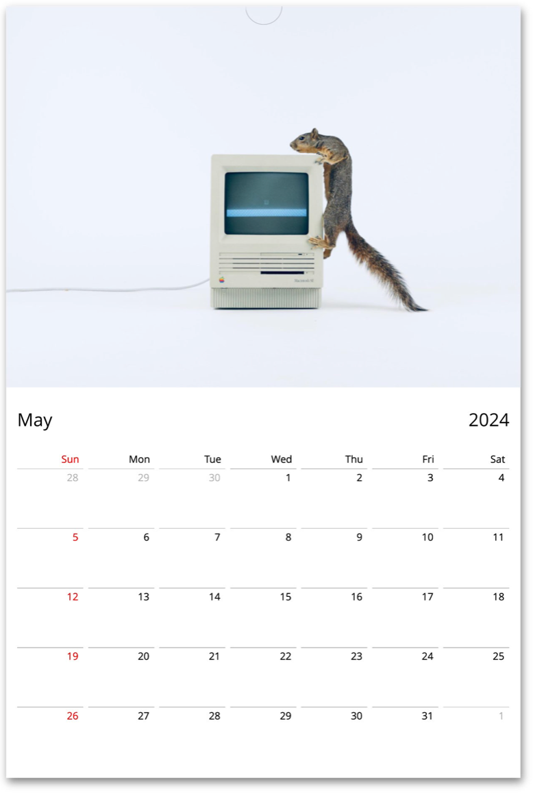 Squirrelomatic 2024 Calendar (English)