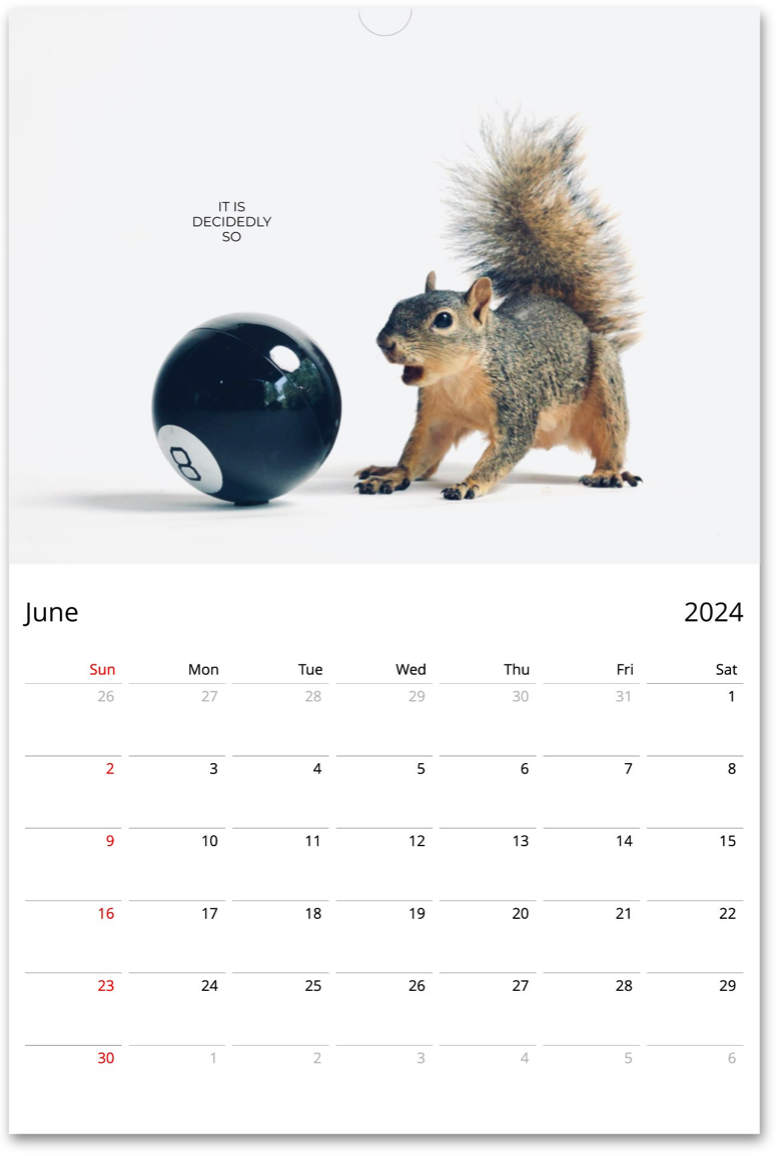 Squirrelomatic 2024 Calendar (English)