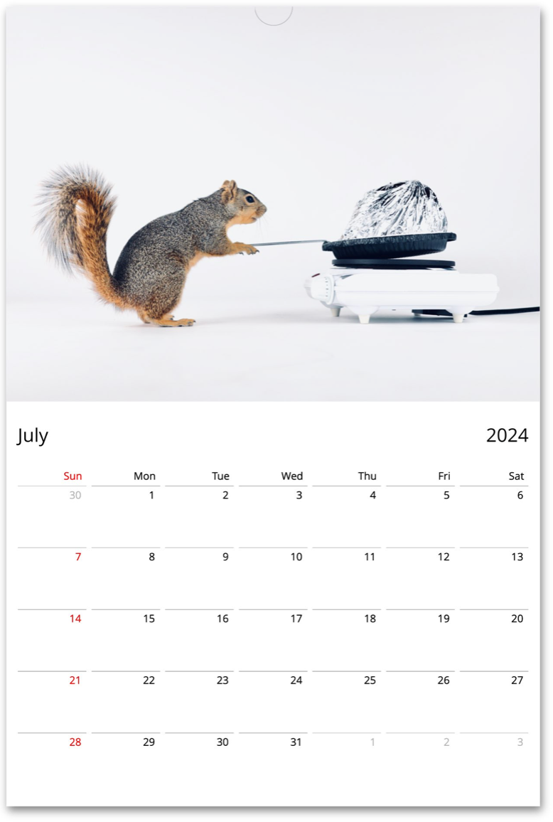 Squirrelomatic 2024 Calendar (English)