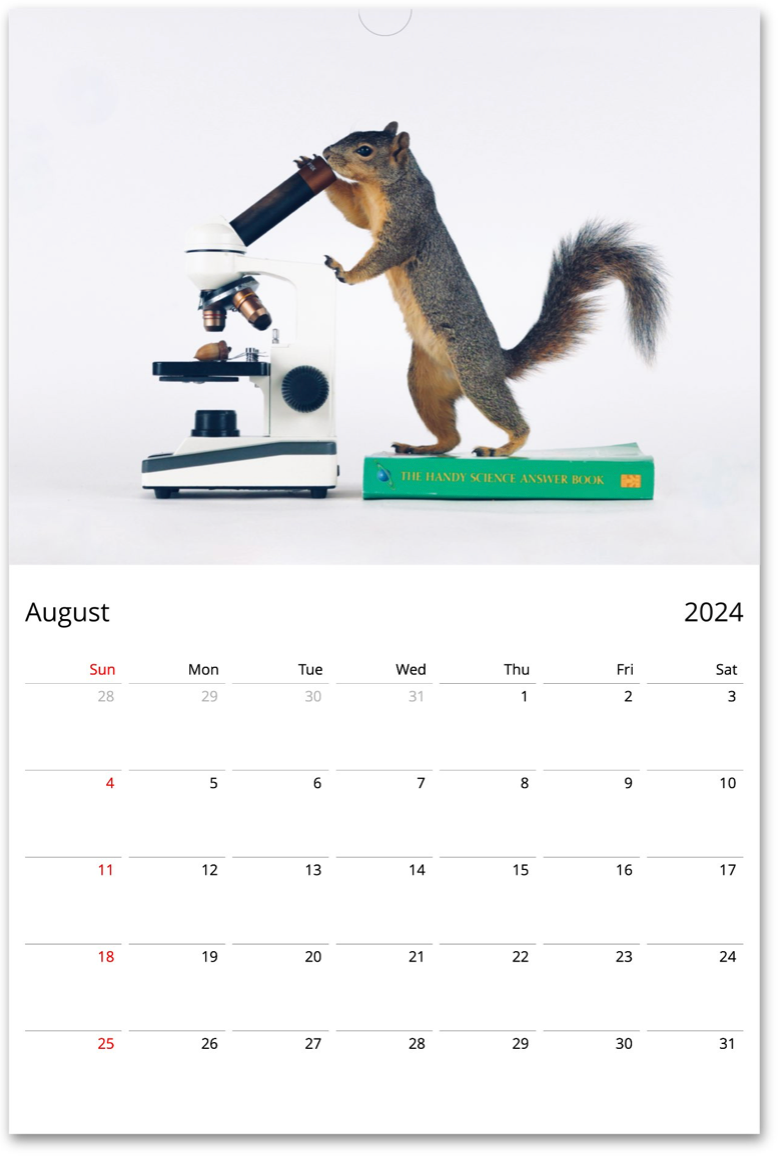 Squirrelomatic 2024 Calendar (English)