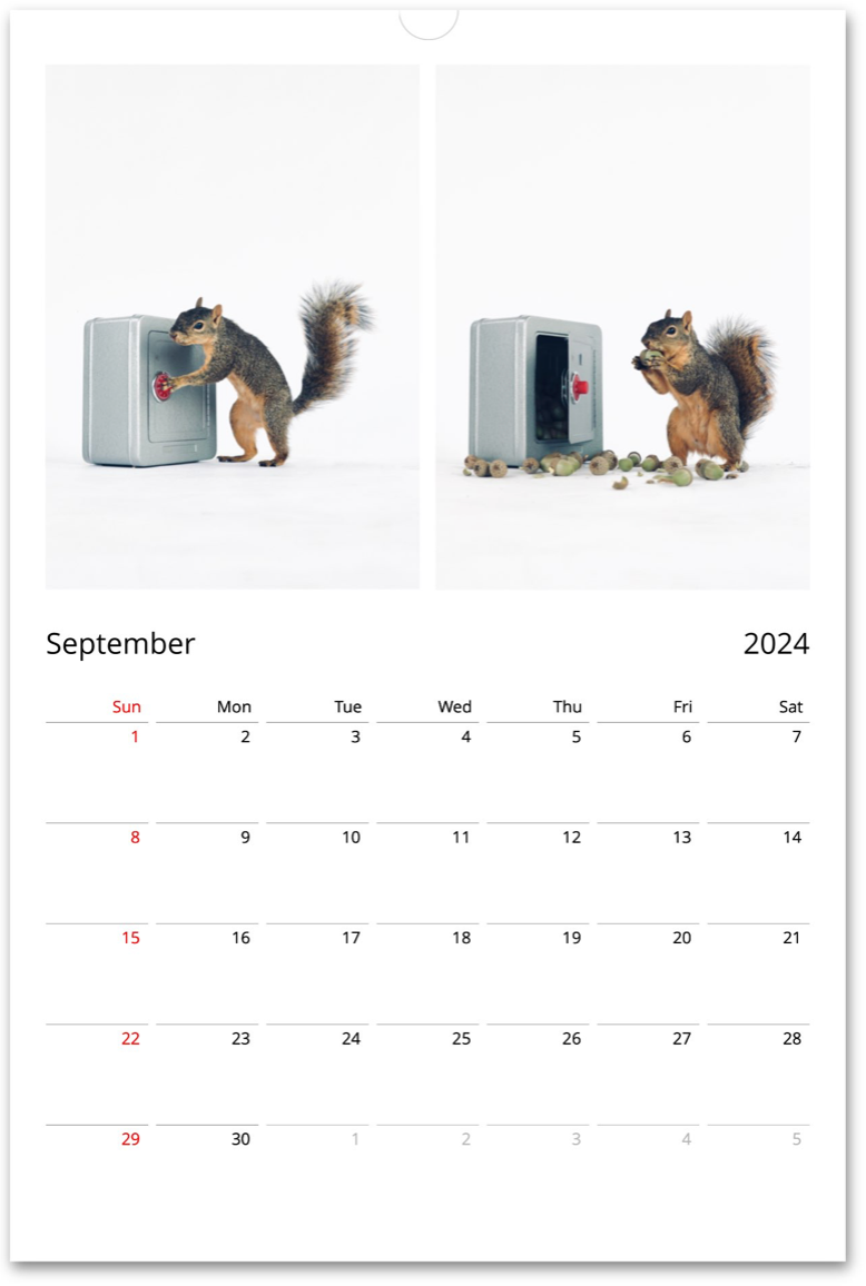 Squirrelomatic 2024 Calendar (English)