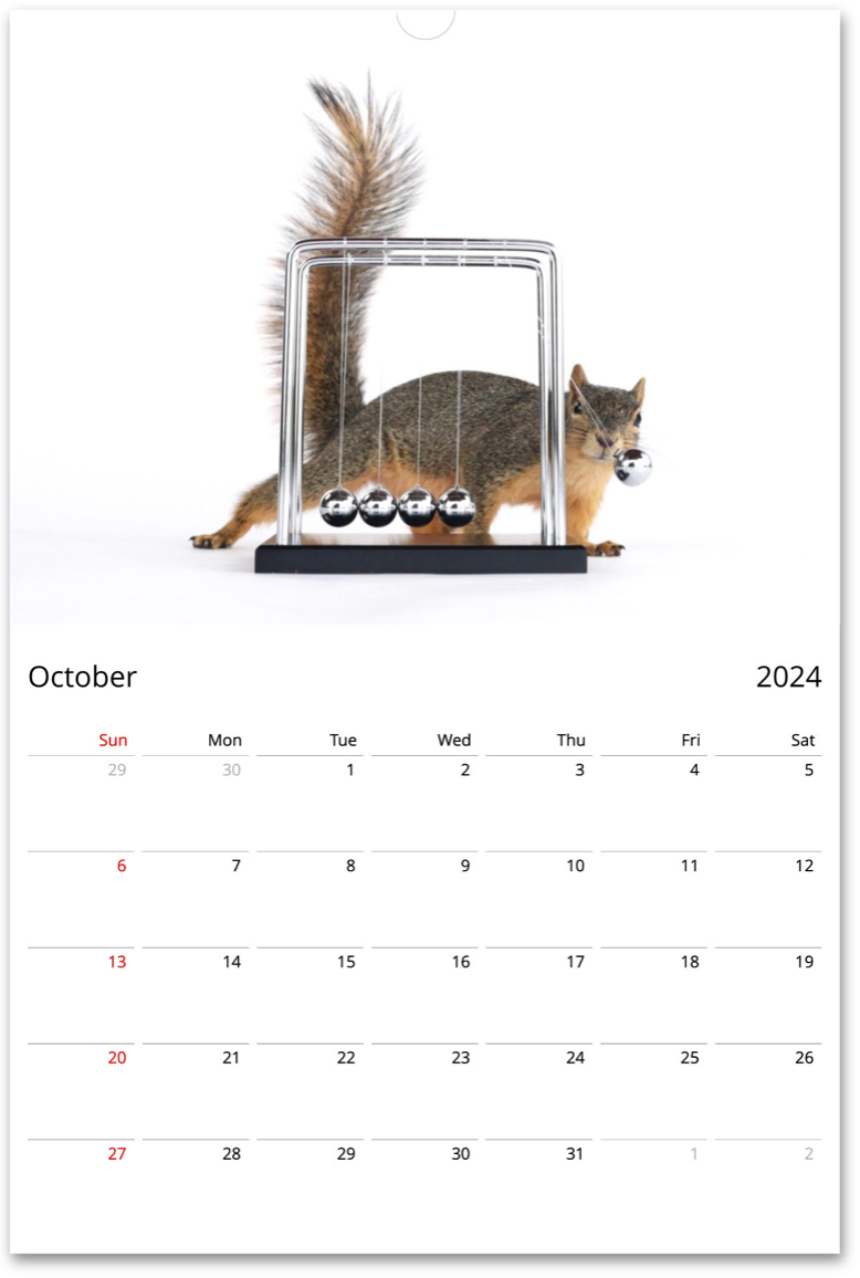 Squirrelomatic 2024 Calendar (English)