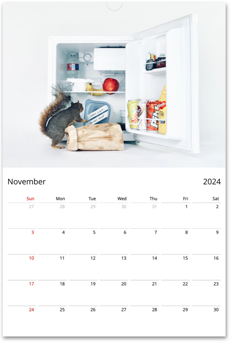 Squirrelomatic 2024 Calendar (English)