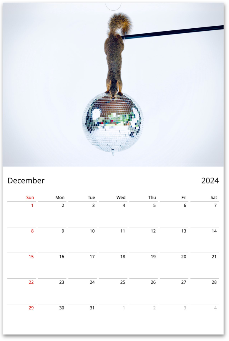 Squirrelomatic 2024 Calendar (English)