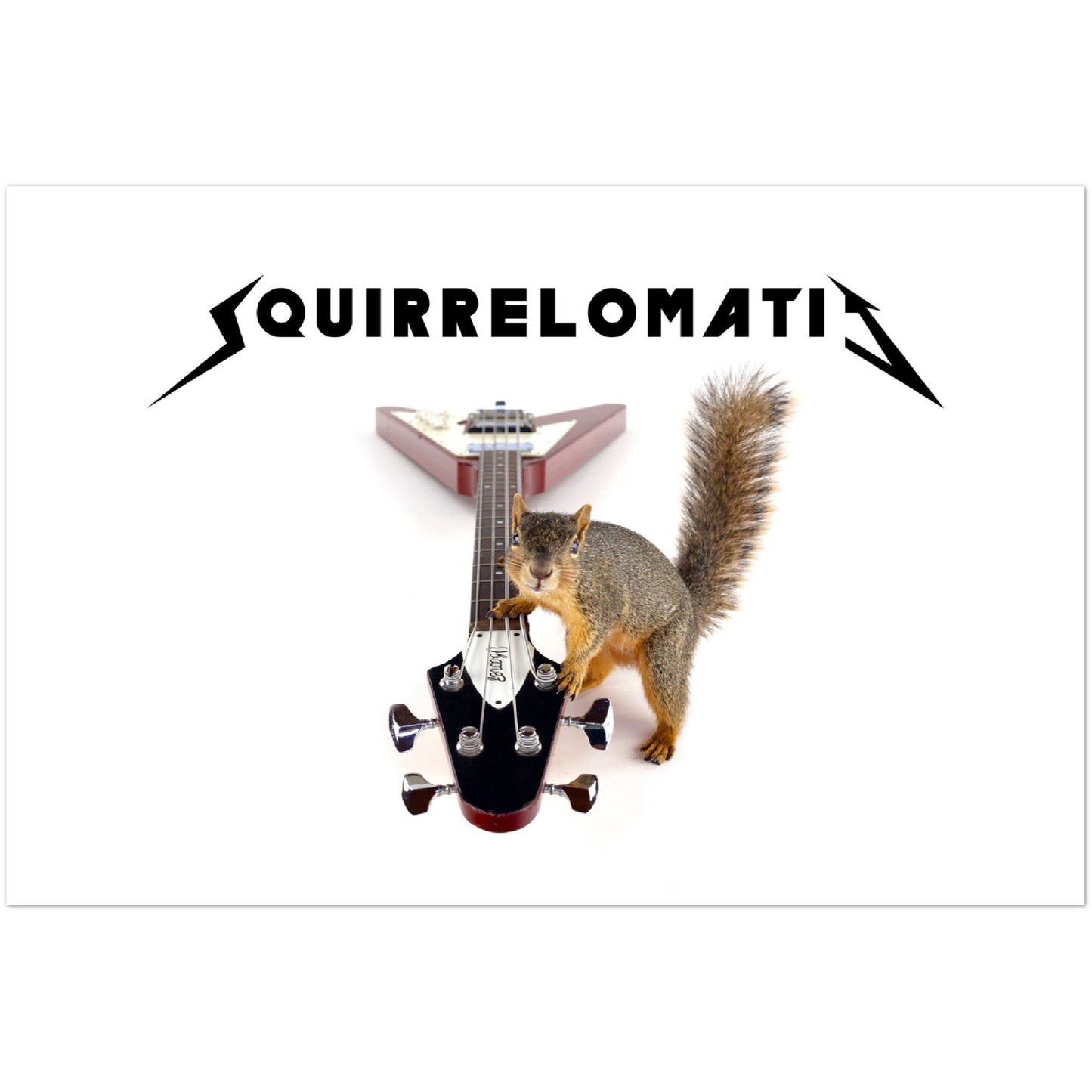 Squirrelomaticca Poster